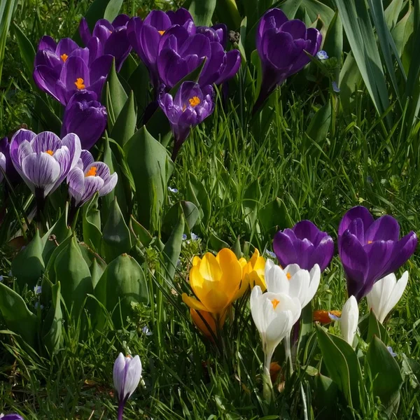 捕鱼达人棋牌游戏